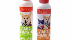 Bloch shampoo dana popis, akce, správné použití, efektivita